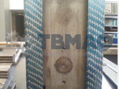 Rasqueteamento e Manuten��o