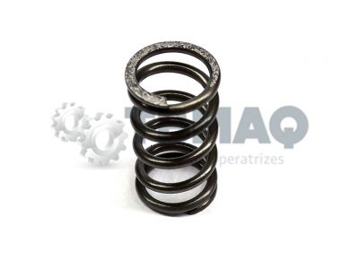 Mola do Fuso de Eleva��o