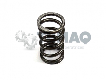 Mola do Fuso de Eleva��o